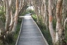 Collingwood Park WAsustainable-landscaping-14.jpg; ?>